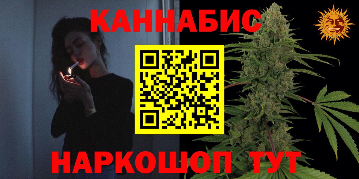 Конопля гибрид Камышин